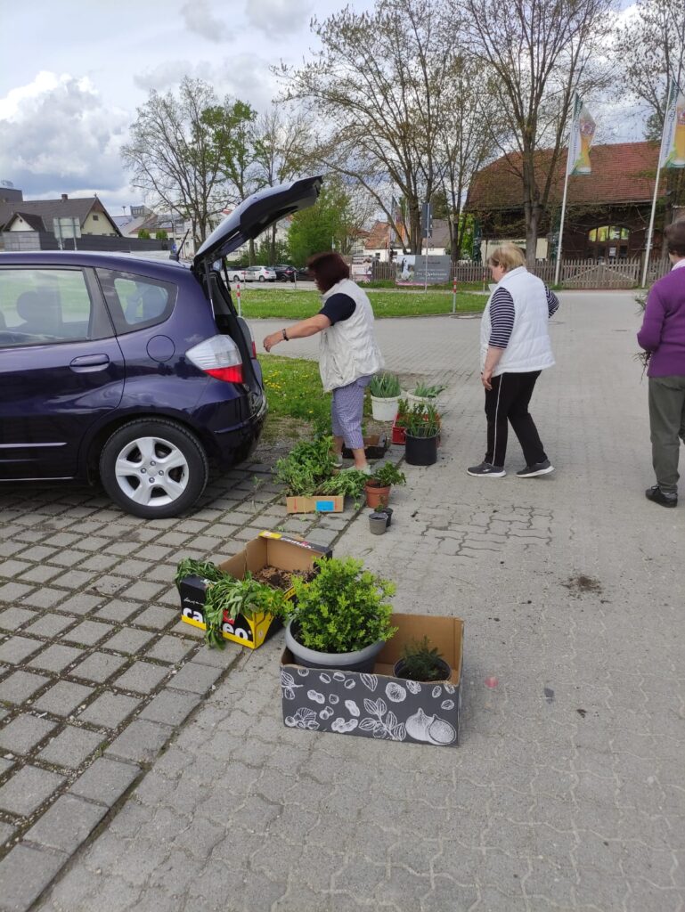 Bilder der Pflanzentauschbörse 2023